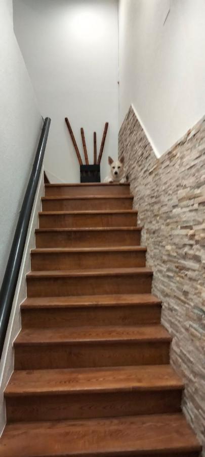 사리아루고 Casa Dositeo 아파트 외부 사진